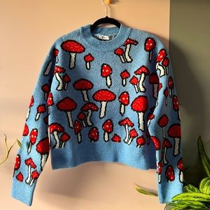 NWT Magic Mushroom Zara Knit Sweater Sold Out 🍄💙